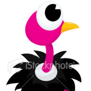 Meet your Posher, Aubrey